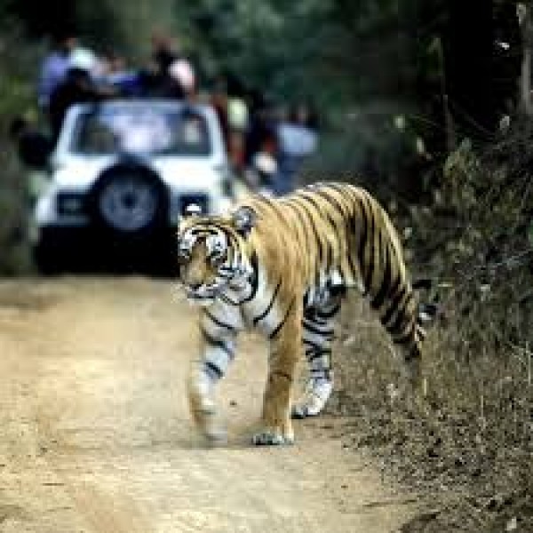 Jaipur-Ranthambore Weekend Tour 2N/3D